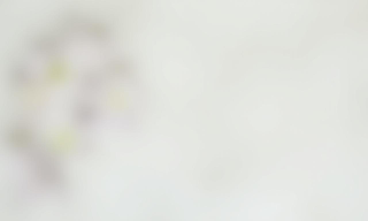 背景の花と石のボケ写真